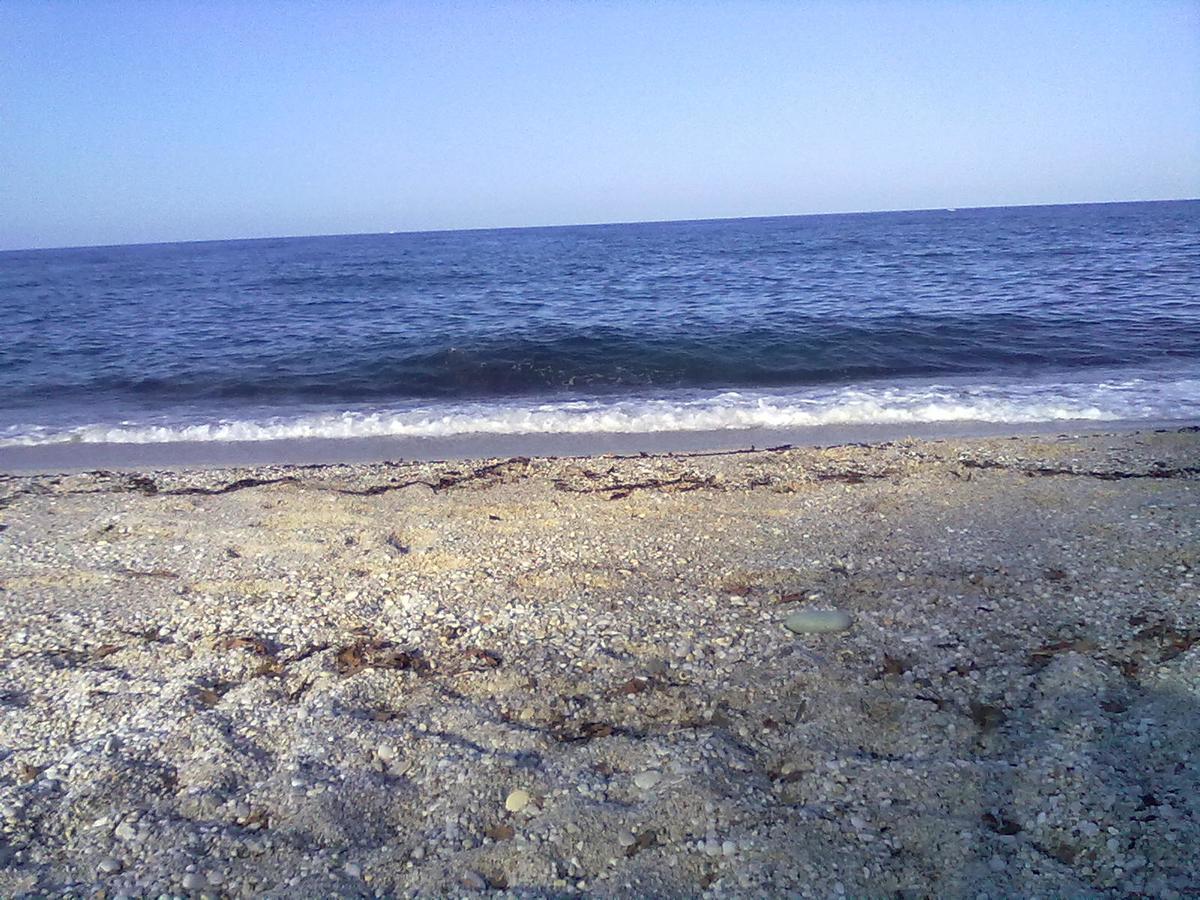 דירות Agios Ioannis  Pelion Orama מראה חיצוני תמונה