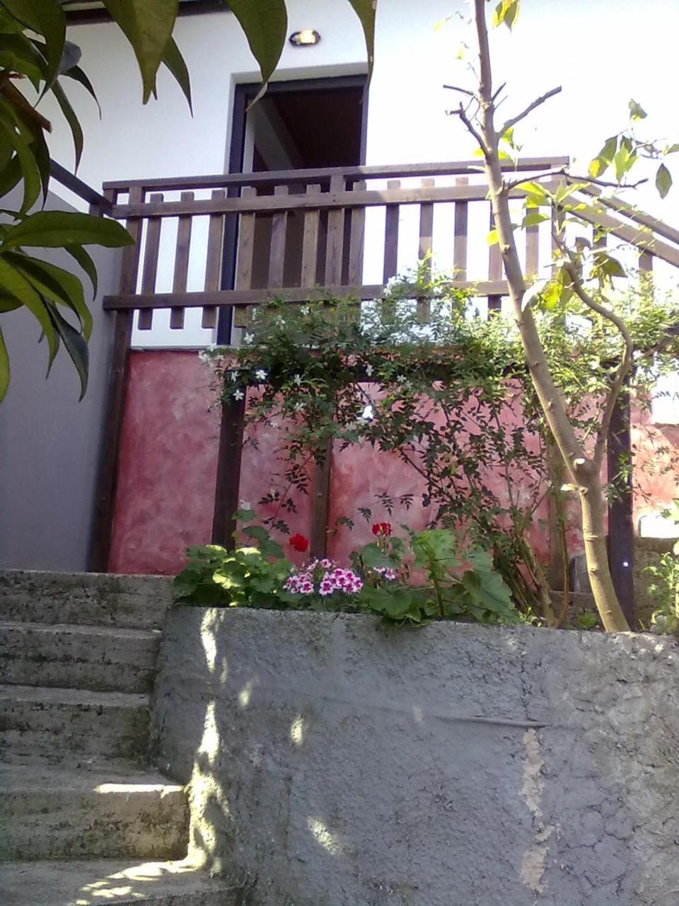 דירות Agios Ioannis  Pelion Orama מראה חיצוני תמונה